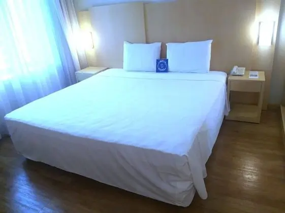 Superior Tek Büyük Yataklı Oda
