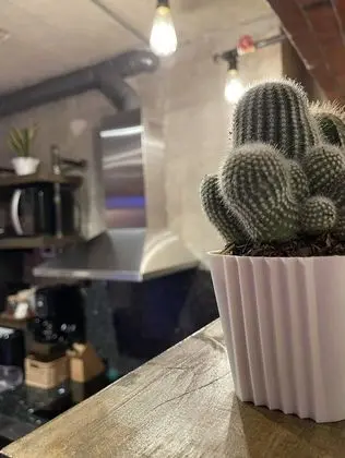 Deluxe Stüdyo Süit