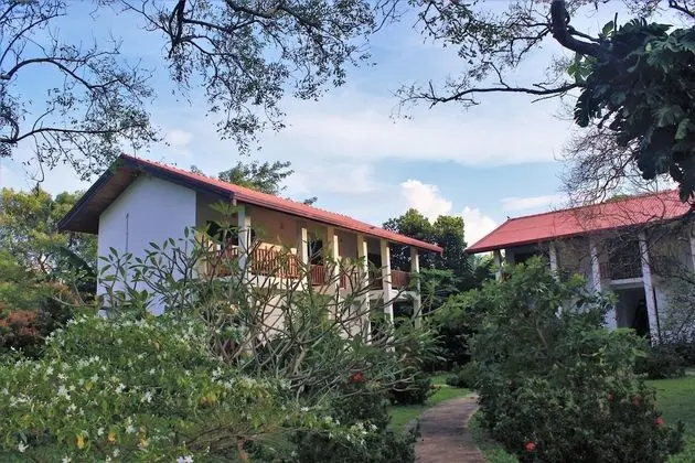 Standard Üç Kişilik Oda, Balkon, Havuz Manzaralı