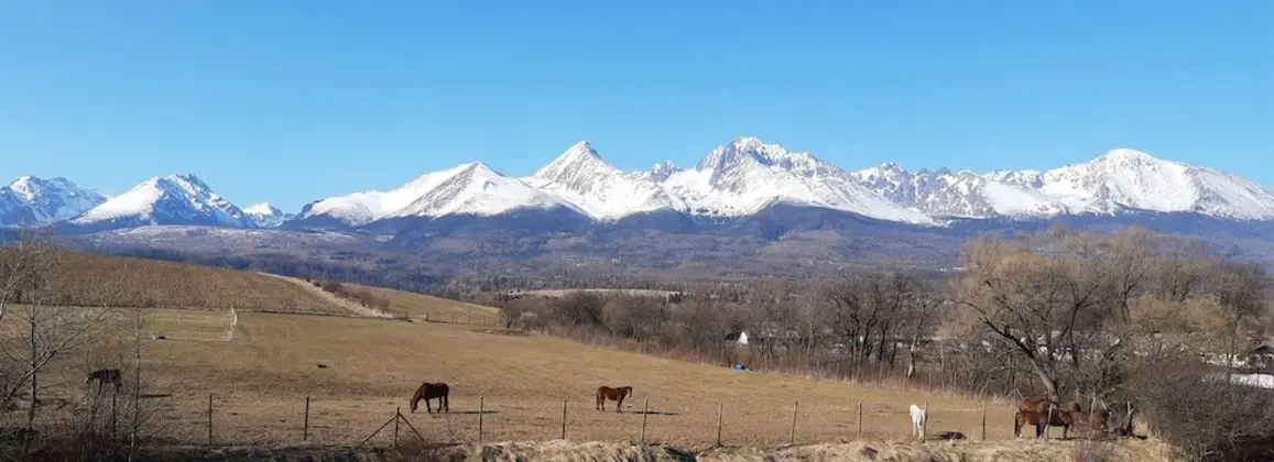 Comfort Oda, 1 Büyük (Queen) Boy Yatak, Balkon, Dağ Manzaralı