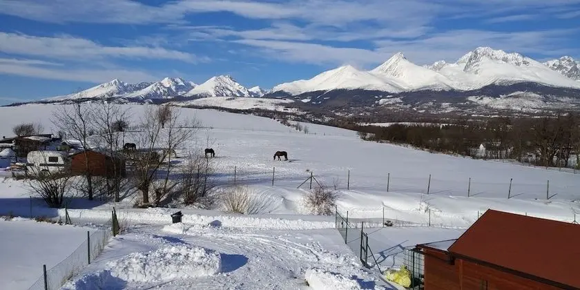 Standard Oda, 1 Büyük (Queen) Boy Yatak, Dağ Manzaralı (2)