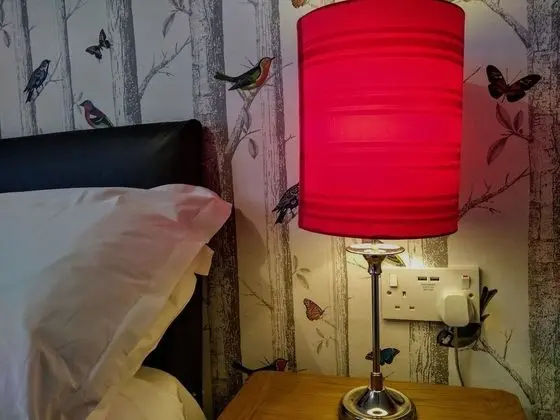 Tek Büyük Yataklı Oda, Banyolu/Duşlu (Compact )