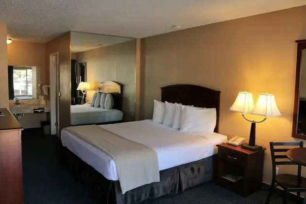 1 King Bed Non Smoking (No Pets Allowed)