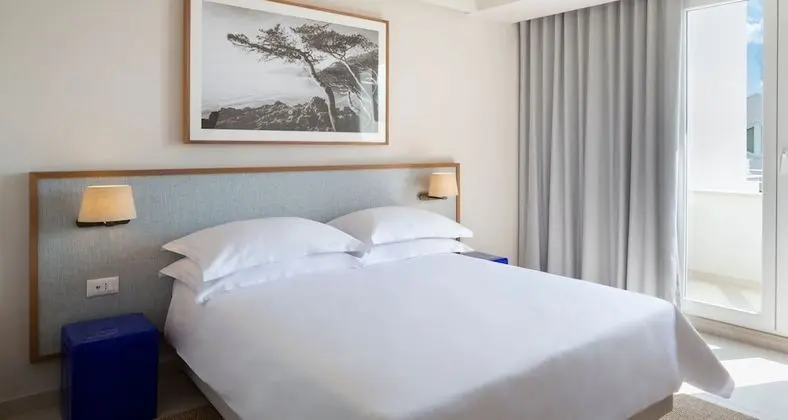 Standard Tek Büyük veya İki Ayrı Yataklı Oda, Balkon, Bahçe Manzaralı