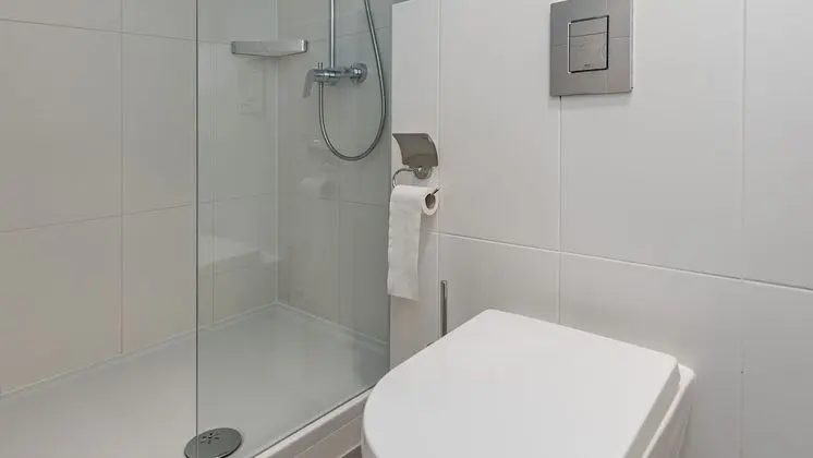 Standard Tek Büyük Yataklı Oda, Park Manzaralı