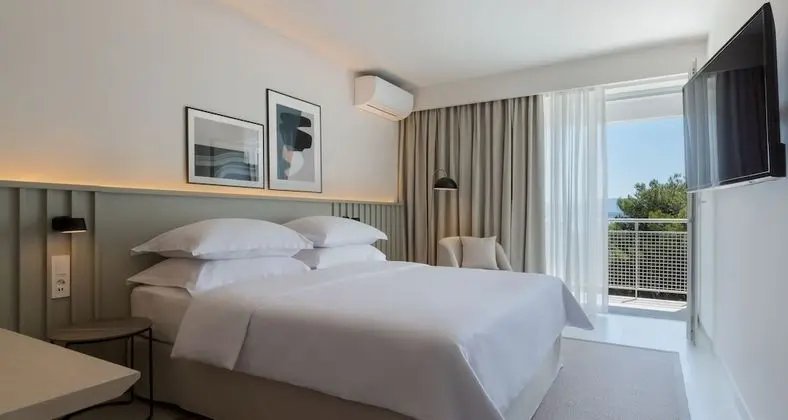 Standard Tek Büyük veya İki Ayrı Yataklı Oda, Balkon, Denize Bakan