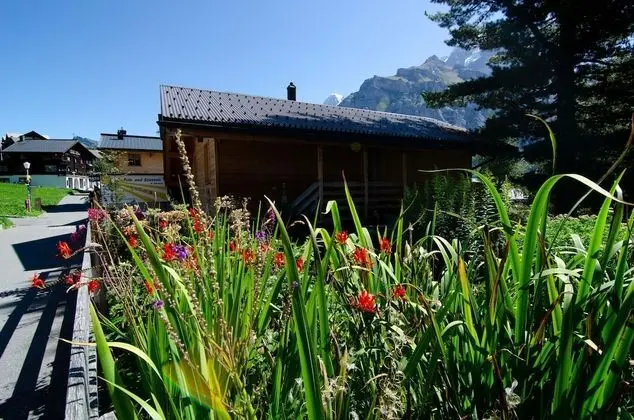 Classic Tek Büyük Yataklı Oda