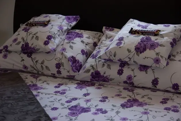 Comfort Apart Daire, Deniz Manzaralı