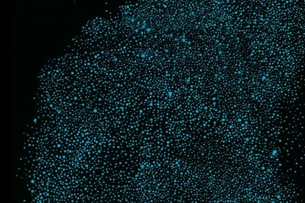 Deluxe Süit, 1 En Büyük (King) Boy Yatak, Nehir Manzaralı (EYE - Suite)