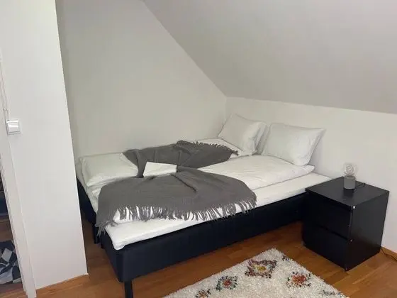 Apart Daire, 2 Yatak Odası, Şömine