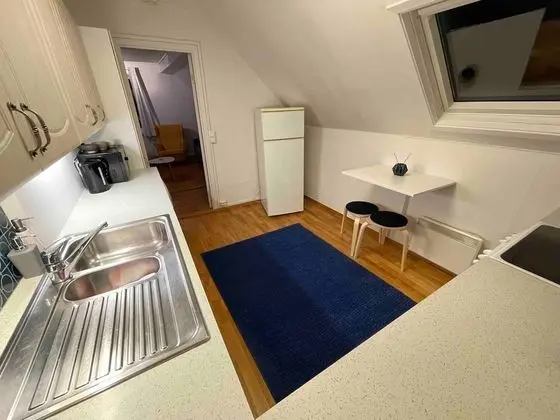 Apart Daire, 2 Yatak Odası, Şömine