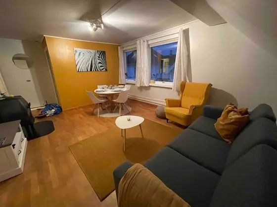 Apart Daire, 2 Yatak Odası, Şömine