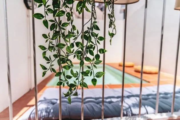 Deluxe Apart Daire, 1 Yatak Odası, Kişiye Özel Havuzlu, Bahçe Manzaralı