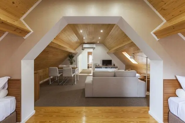 Premium Çatı Katı (Loft), 1 Yatak Odası