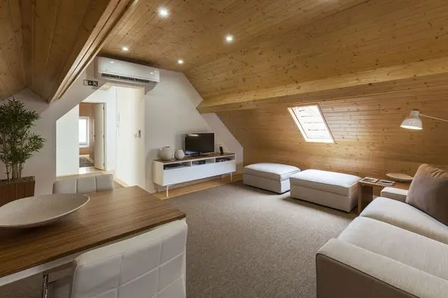 Premium Çatı Katı (Loft), 1 Yatak Odası