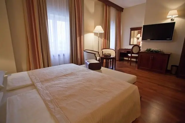 Superior Tek Büyük Yataklı Oda, Şehir Manzaralı