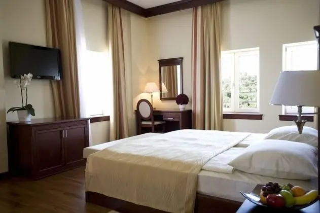 Superior Tek Büyük Yataklı Oda, Şehir Manzaralı