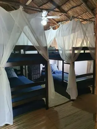 Classic Çadır