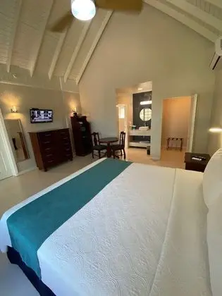 Deluxe Oda, 1 En Büyük (King) Boy Yatak, Buzdolabı ve Mikrodalga, Plaj Kenarı