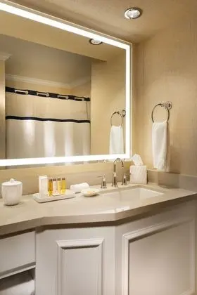 Standard Oda, 1 En Büyük (King) Boy Yatak, Kısmi Manzaralı (King Accessible Room)