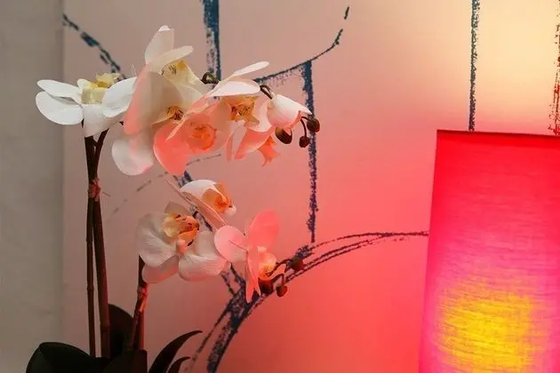 Ev, 2 Yatak Odası, Kişiye Özel Havuzlu (93)