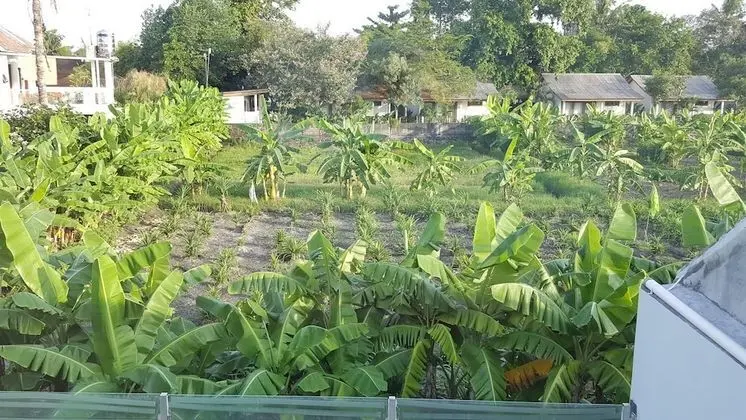Superior Villa