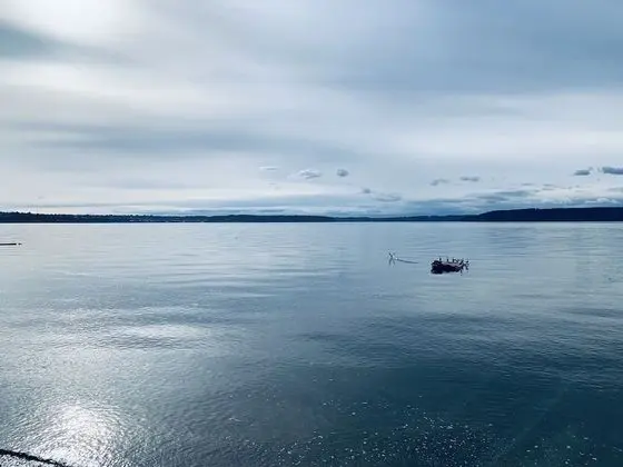 Panoramic Kulübe