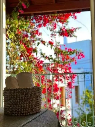 https://images.odamax.com/img/1920x1080/odamax/image/upload/Bodrum_Andoya_Butik_Pansiyon_202507221619205_IMG_3801.jpeg