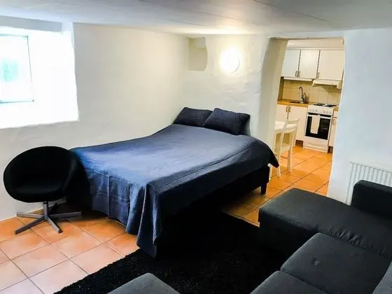 Tek Büyük Yataklı Oda (Lower Ground Floor with Sofa Bed)