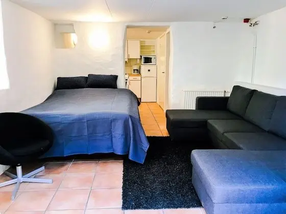 Tek Büyük Yataklı Oda (Lower Ground Floor with Sofa Bed)