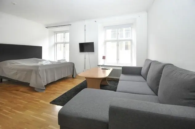 Tek Büyük Yataklı Oda (Lower Ground Floor with Sofa Bed)