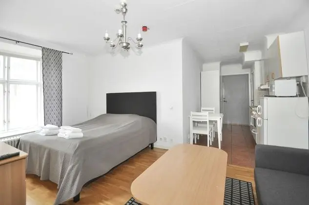 Tek Büyük Yataklı Oda (Lower Ground Floor with Sofa Bed)