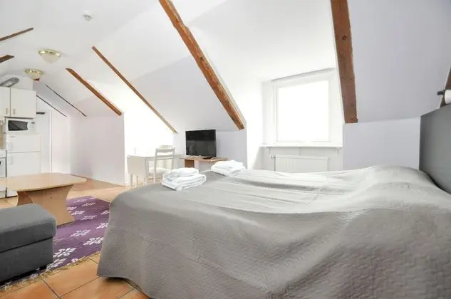 Tek Büyük Yataklı Oda (With Sofa Bed)
