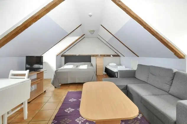 Tek Büyük Yataklı Oda (With Sofa Bed)