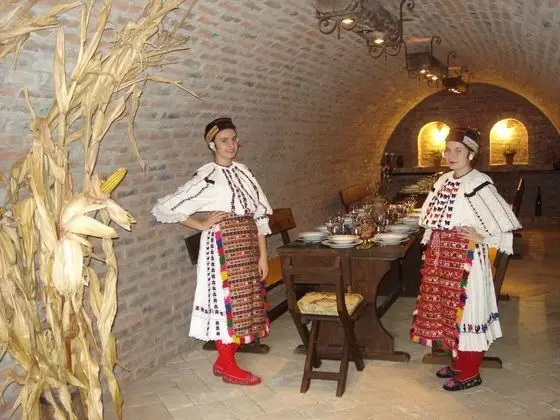 Stüdyo (Bogdan - countryside with hot tub - S)