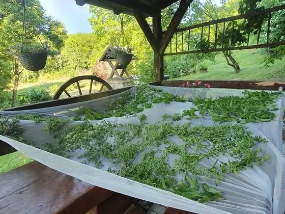 Stüdyo (Bogdan - countryside with hot tub - S)