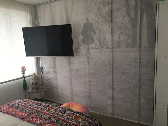 Çatı Katı (Loft), 1 Yatak Odası, Mikrodalga