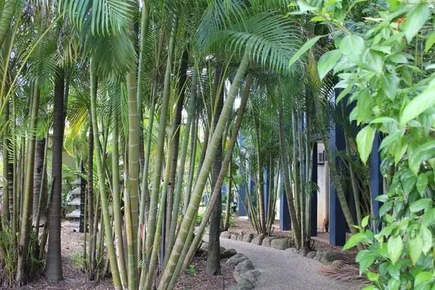 Süit (Garden View)