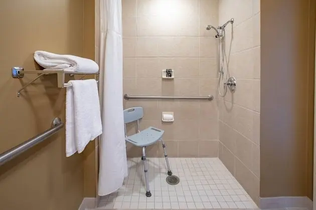 Oda, 1 En Büyük (King) Boy Yatak (Mobility Accessible, Roll-In Shower)