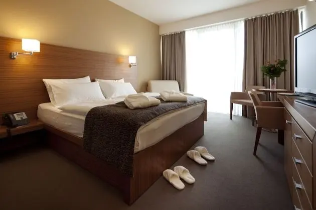 Executive Tek Büyük veya İki Ayrı Yataklı Oda, Balkon, Dağ Manzaralı
