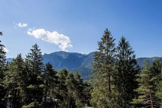 Superior Tek Büyük veya İki Ayrı Yataklı Oda