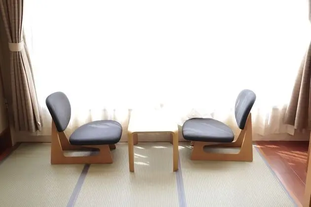 Traditional Oda, Şehir Manzaralı (Japanese Style)
