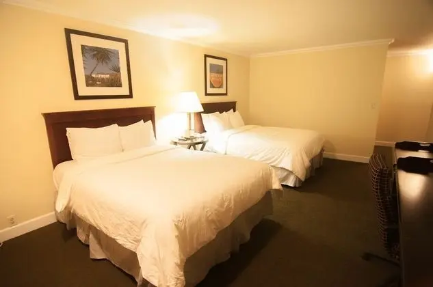 Double Room with Two Double Beds