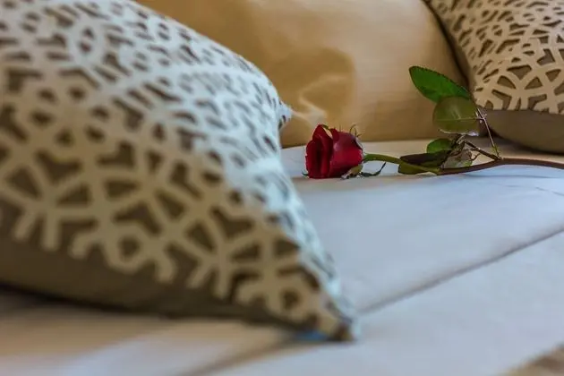 Standard Tek Büyük veya İki Ayrı Yataklı Oda