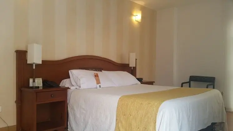 Superior Oda, 1 Yatak Odası, Şehir Manzaralı