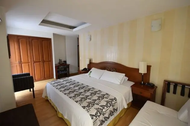 Superior Oda, 1 Yatak Odası, Şehir Manzaralı