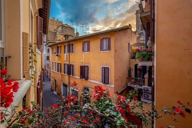 Büyük Yataklı Tek Kişilik Oda (Shared Kitchen)