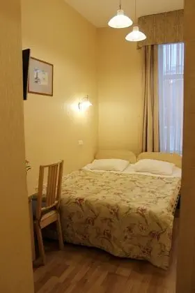 Superior Tek Büyük Yataklı Oda, 1 Çift Kişilik Yatak, Özel Banyo