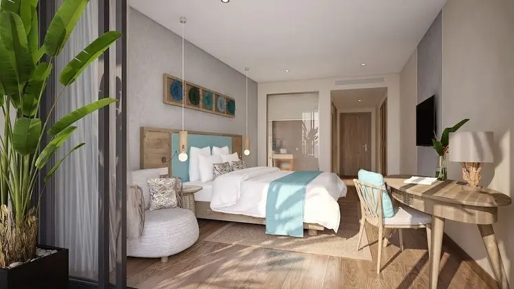 Deluxe Tek Büyük Yataklı Oda