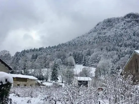 İki Ayrı Yataklı Oda, Dağ Manzaralı